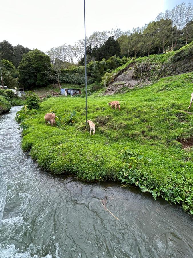 B&C Furnas House Furnas (Azores) Exterior foto